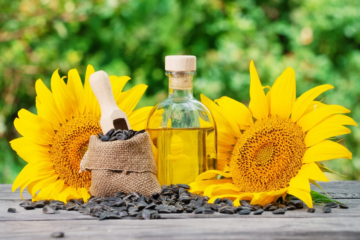 Sunflower Oil